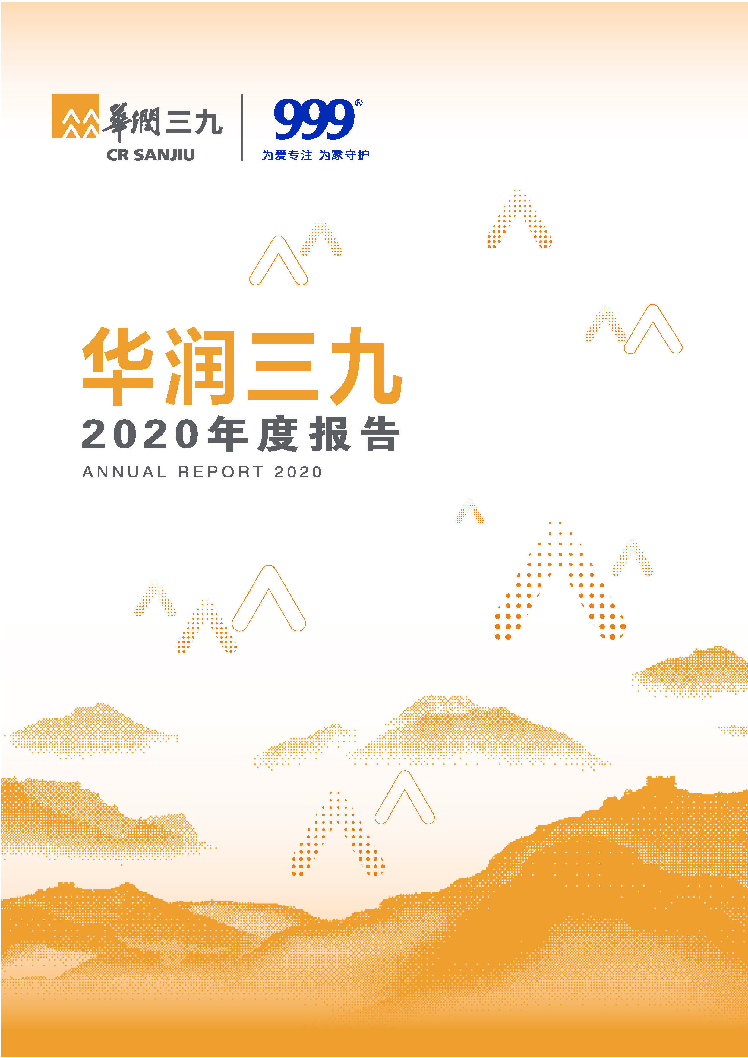 太阳成集团tyc138：2020年年度报告